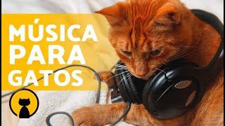 MÚSICA RELAJANTE para GATOS 🐱🎶 ¡Relaja y Calma a tu Gato en Minutos [upl. by Airemat]