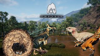 So Many Nests  The Great Hypsi Colony Part 4  Hypsilophodon Gameplay  The Isle Evrima [upl. by Calesta]