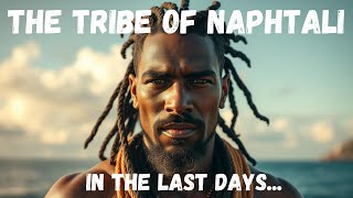 The Tribe Of Naphtali In The Last Days Who amp Where Are They Now [upl. by Leahciam153]