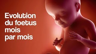 GROSSESSE  L’évolution du foetus mois par mois [upl. by Antonina284]