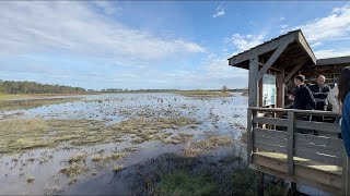 Contre les inondations  la nature nous inspire [upl. by Drallim]