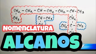 ✅ Nomenclatura de ALCANOS paso a paso [upl. by Akcirehs]