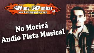 Huey Dunbar No Morirá Audio Pista Musical  Karaoke  DLG  Dark Latin Groove 1996 [upl. by Reidar]