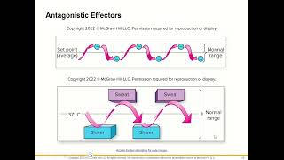 BIOL 0271 NEW Chapter 1 Video [upl. by Qidas582]