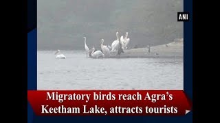 Migratory birds reach Agra’s Keetham Lake attracts tourists [upl. by Niuq]