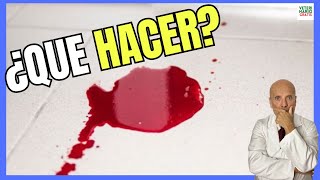 🔴¿Qué Hacer si mi PERRO ORINA SANGRE 🔴 [upl. by Koblas]