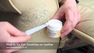 How to Repair Cat Scratches on Leather [upl. by Uase]