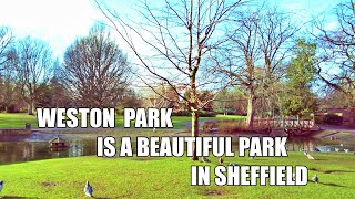 Weston Park walking tour  Sheffield England United Kingom  April 28 2022 4K [upl. by Merrielle]