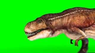 Green Screen Tyrannosaurus T Rex Run Various Angles Loop  Footage PixelBoom [upl. by Airakaz]