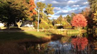 Shop Pond Hampstead NH [upl. by Sinoda]