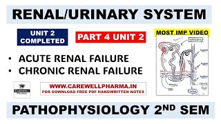 Unit 2  Renal Failure  Acute renal failure  Chronic renal failure  Part 4  Pathophysiology [upl. by Garling]