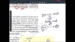 Fermentation Respiration Class 11th [upl. by Ummersen]