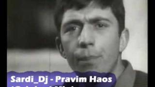 Sardi Dj  Pravim Haos PROMO VIDEO [upl. by Thurlough]