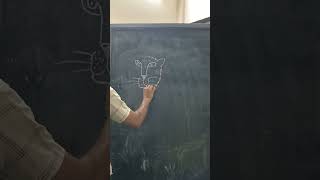 How to draw the Royal Bengal Tiger drawing tutorial tiger royalbengaltiger learn howto [upl. by Virginia]