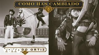 Gerardo Ortiz  Cómo Has Cambiado Audio [upl. by Shermie]