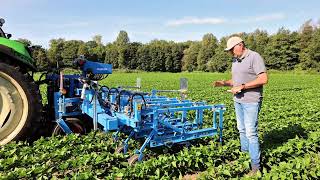 Schoffelen in sperziebonen met Lemken ECweeder [upl. by Boorer]