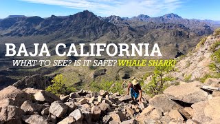 Baja California Where to Find Whale Sharks EPIC Canyons and more… [upl. by Jaquelin]