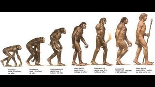 Documental sobre la evolución del Homo Sapiens [upl. by Copeland]