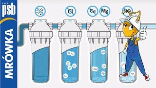 Czysta woda w całym domu Filtry przepływowe marki Dafi [upl. by Perl139]