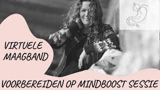 Zelfhypnose en de Virtuele Maagband Mindset boost sessies [upl. by Lynnworth]