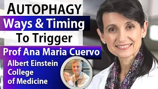 AUTOPHAGY  Ways amp Timing To Trigger  Prof Ana Maria Cuervo Interview Series Ep3 [upl. by Nylirem440]