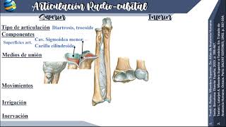 Articulaciones del miembro superior  SOCIEM UNA [upl. by Deane]