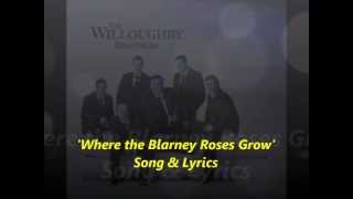 The Willoughby BrothersLyricsWhere the Blarney Roses Grow [upl. by Nimra]