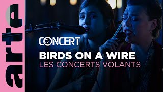 Birds on a Wire  Les Concerts Volants live  arteconcert [upl. by Rab495]