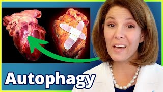 REVERSE Heart Disease with Autophagy [upl. by Yelrac]