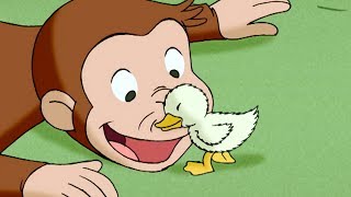 George Learns Something New 🐵 Curious George 🐵 Kids Cartoon [upl. by Hawk]