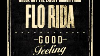 Florida  Good Feeling Avicii Levels Remix [upl. by Aggappora]