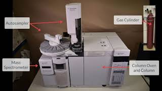 Gas chromatography mass spectrometry [upl. by Ivory]