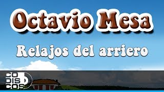 Relajos Del Arriero Octavio Mesa  Audio [upl. by Ynittirb]