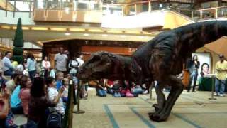 TRex Dino invades The Shops at Willow Bend [upl. by Haropizt]