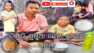 ଚିଙ୍ଗୁଡ଼ି ଶୁଖୁଆ ଛେଚା କୁ ବାସି ପଖାଳ। Chingudi sukhua Checha ku basi pakhala [upl. by Aubreir]