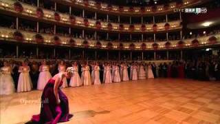 ELINA GARANCA  Live 55th Vienna Opera Ball 2011 [upl. by Arleta]