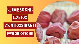 Umeboshi benefici consumo e caratteristiche [upl. by Inacana]