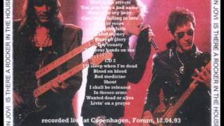 Bon Jovi  Live in Copenhagen 1993 FULL [upl. by Asilram]