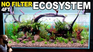 4ft Ecosystem Tank HUGE No Filter Aquarium With No Maintenance Aquascape Tutorial [upl. by Sueahccaz]