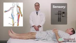 Approach to Low Back Pain Physical Exam  Stanford Medicine 25 [upl. by Ahsiatal]