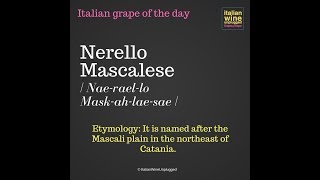 Nerello Mascalese [upl. by Ariamat643]