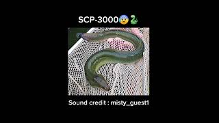 SCP3000 quotAnantasheshaquot short notreal eel [upl. by Trevethick]