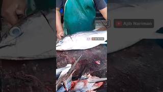 Uncle Usmans nimble hands cutting fresh tuna shorts viral fishcuttingskills [upl. by Demb]