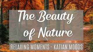 The Beauty of Nature  Relaxing Moments  Piano Music for meditation focus or sleep [upl. by Eldwon]