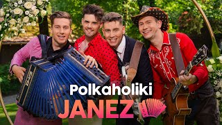 POLKAHOLIKI  JANEZ Official Video [upl. by Ycal]