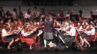 Irish Session Tunes  Ayrshire Fiddle Orchestra [upl. by Erna960]