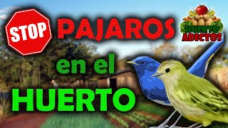 ESPANTAPÁJAROS CASERO FÁCIL 🐤  Tutorial para Jardín Huerto y Huerto Urbano  Huerto Adictos 🍅 [upl. by Buckden]