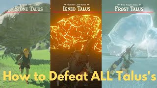 How to Beat all THREE Types of Talus [upl. by Seravaj699]