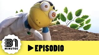 31 minutos  Episodio 102  El árbol furioso [upl. by Yeliah]