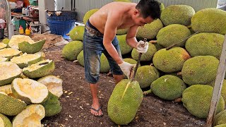 Must Try Best Tropical Fruit Collection  Fruit Cutting Skills [upl. by Reynold]